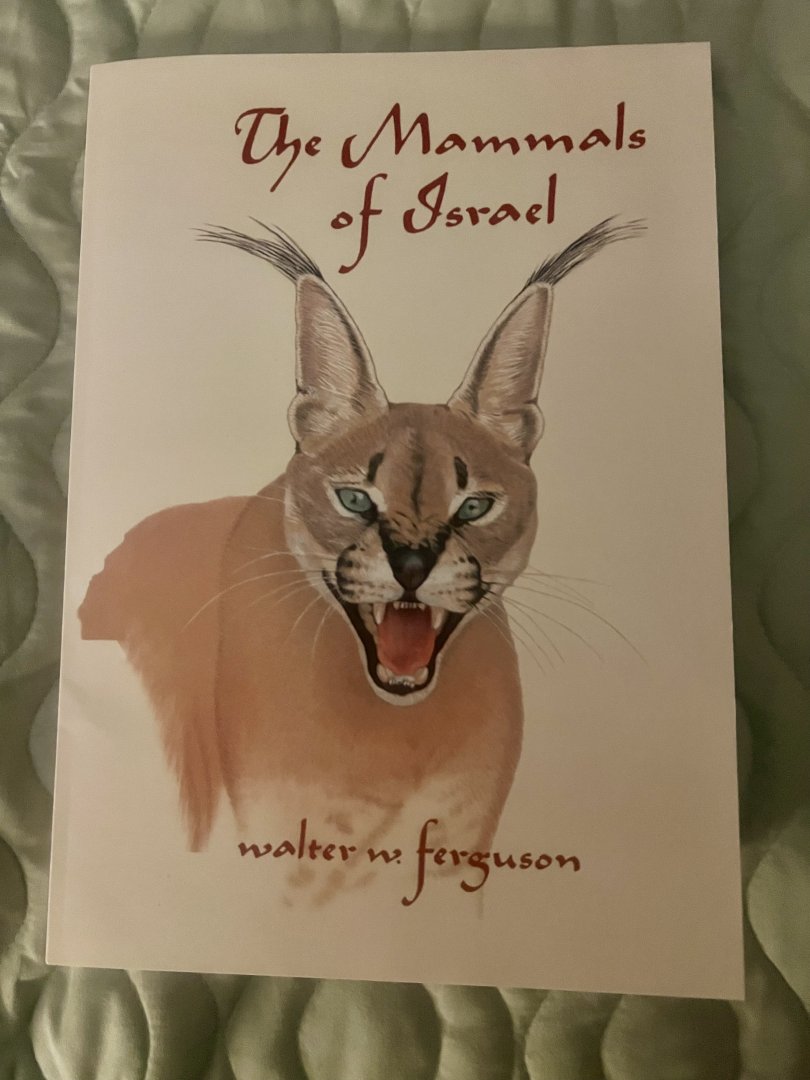 The Mammals of Israel