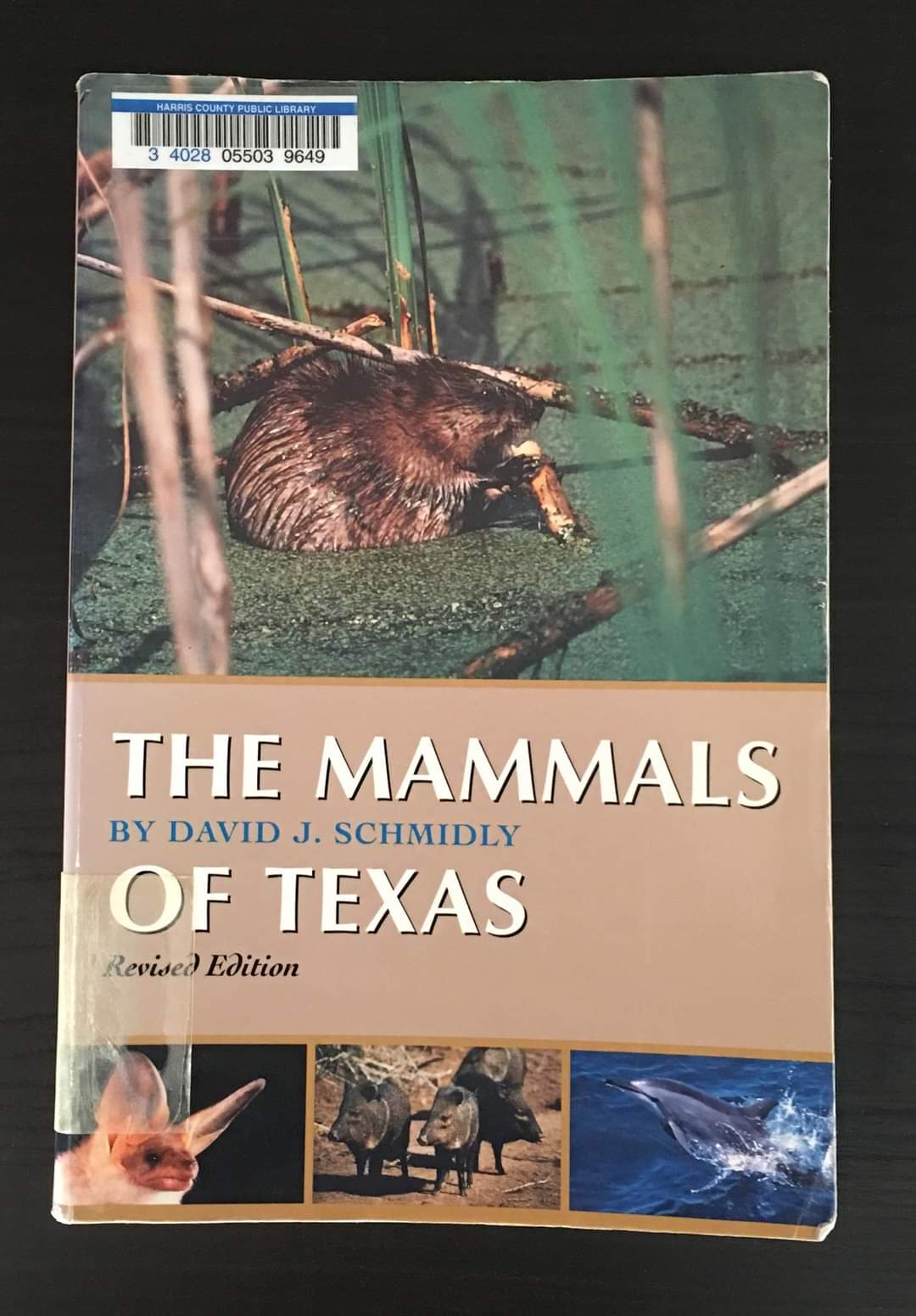 The Mammals of Texas