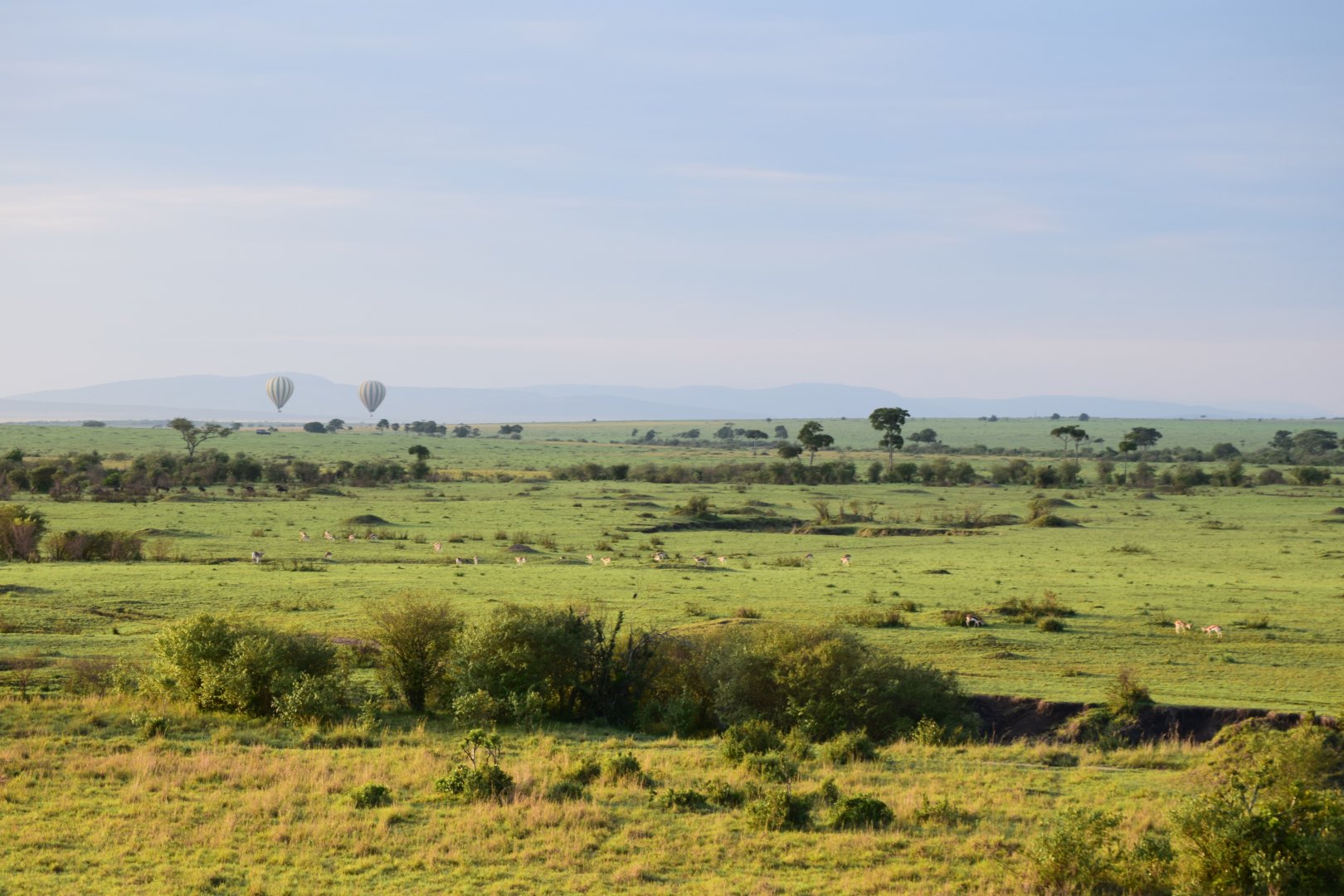 The Mara from a hot air balloon