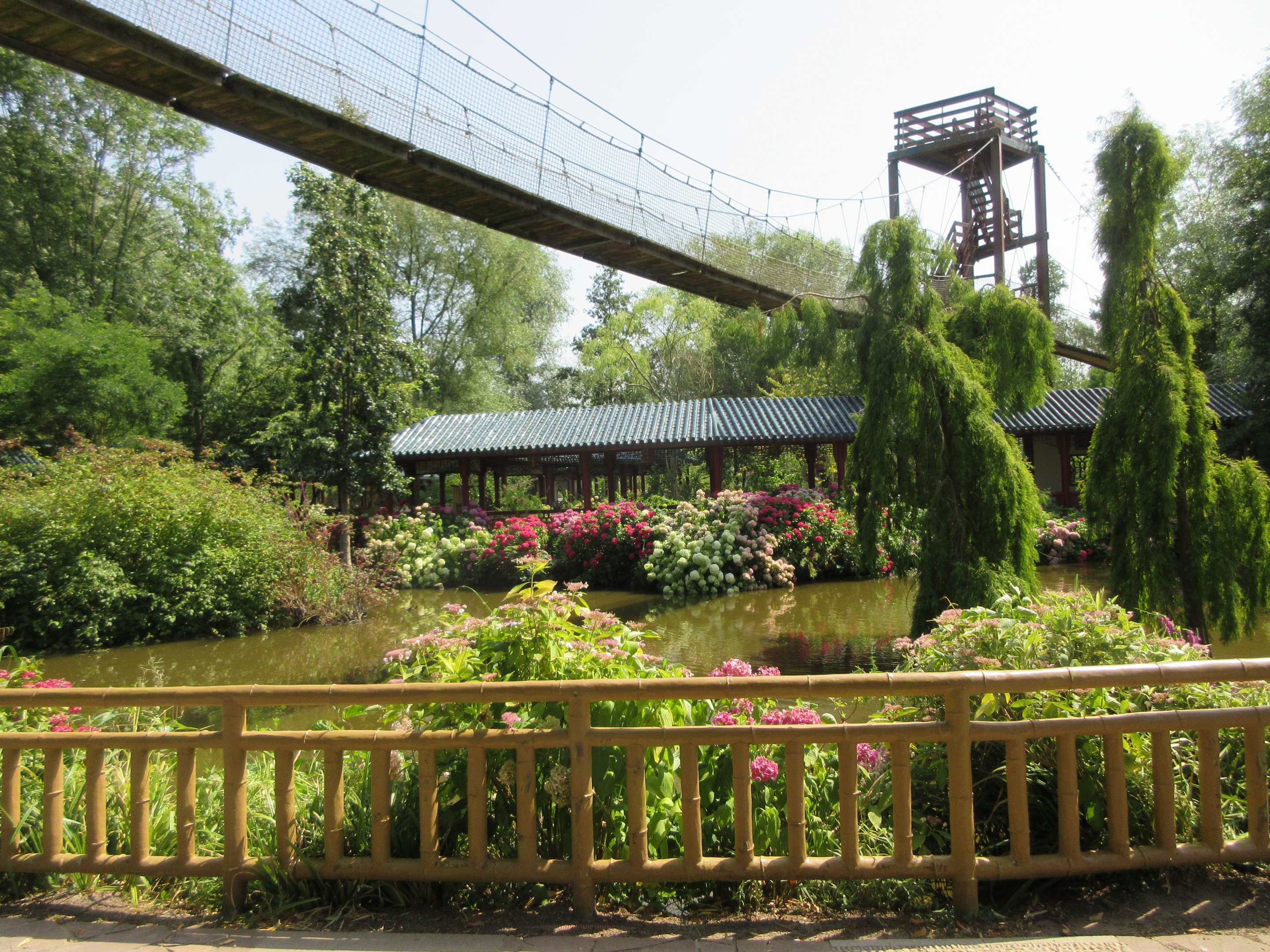 The Middle Kingdom (Asian Zone)