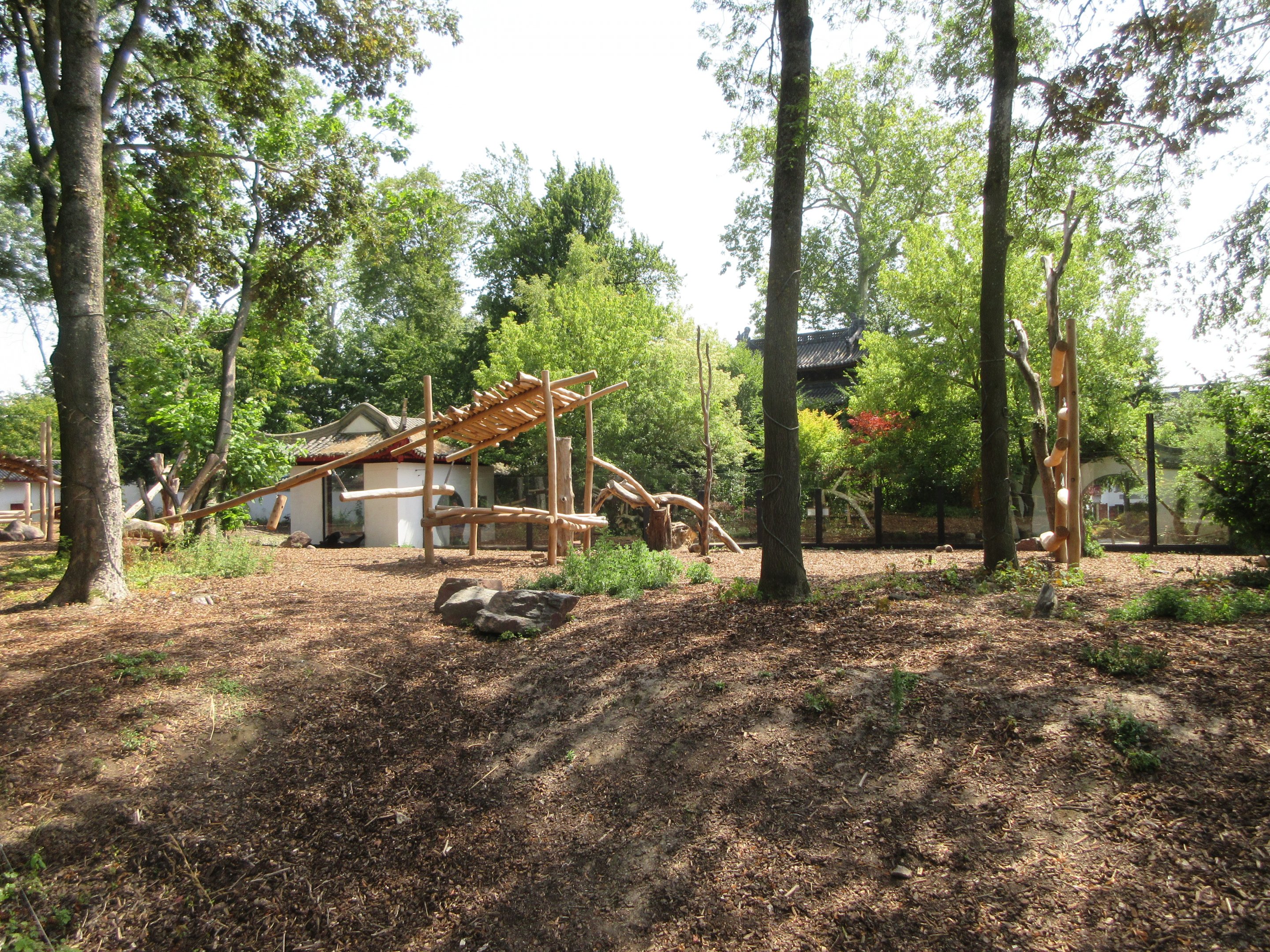 The Middle Kingdom - Asiatic Black Bear Exhibit