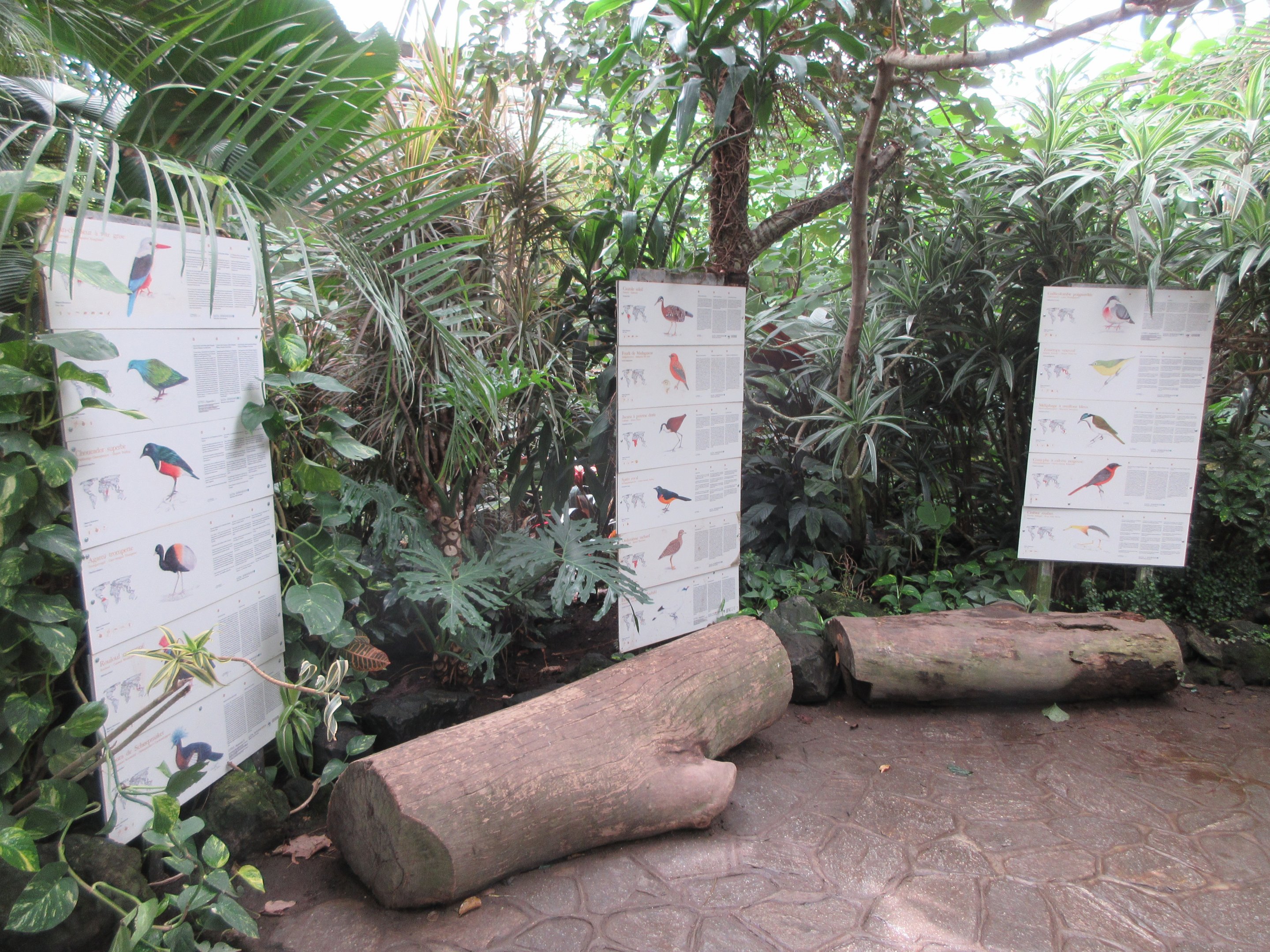 The Middle Kingdom Aviary (hand-drawn images on all signs)