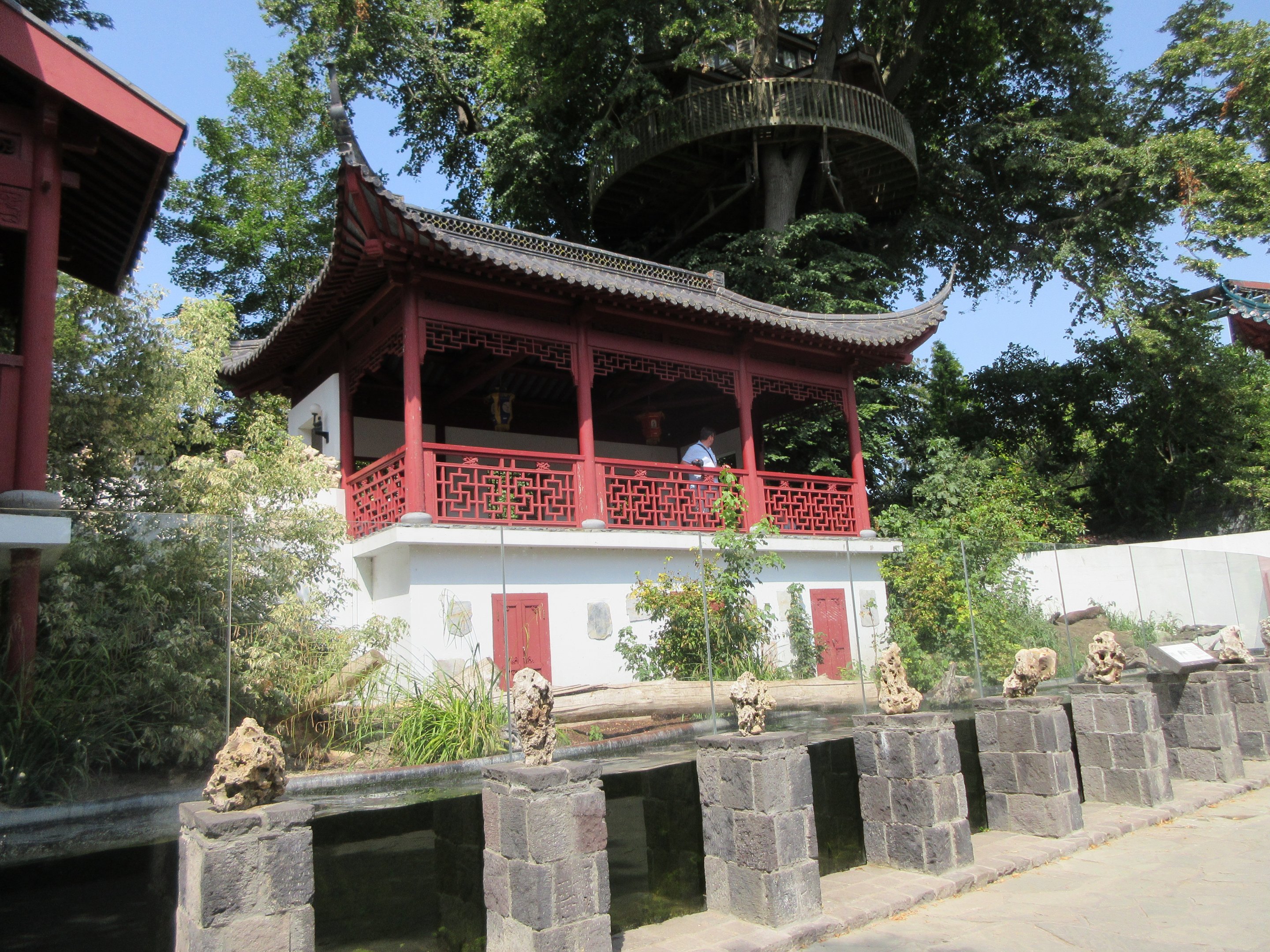 The Middle Kingdom - Giant Otter Exhibit