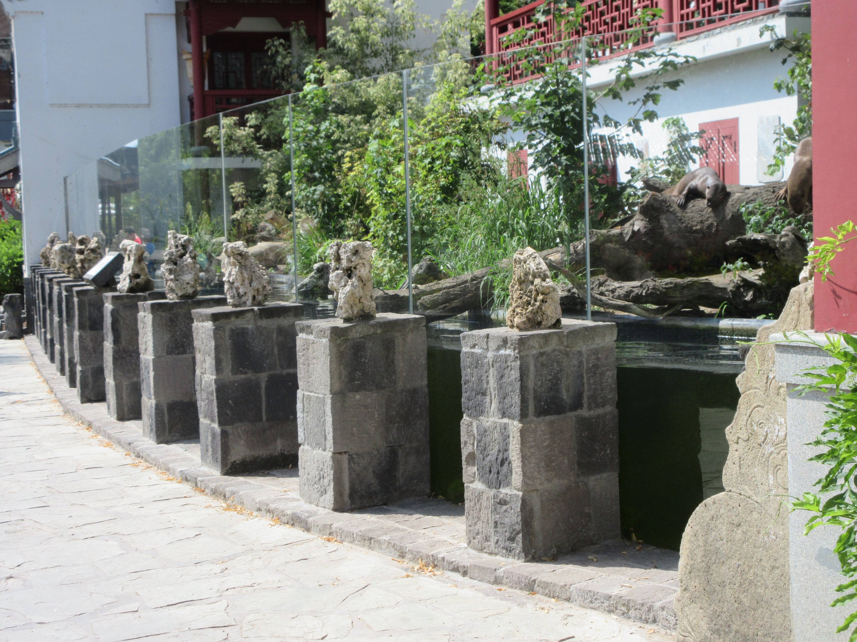 The Middle Kingdom - Giant Otter Exhibit