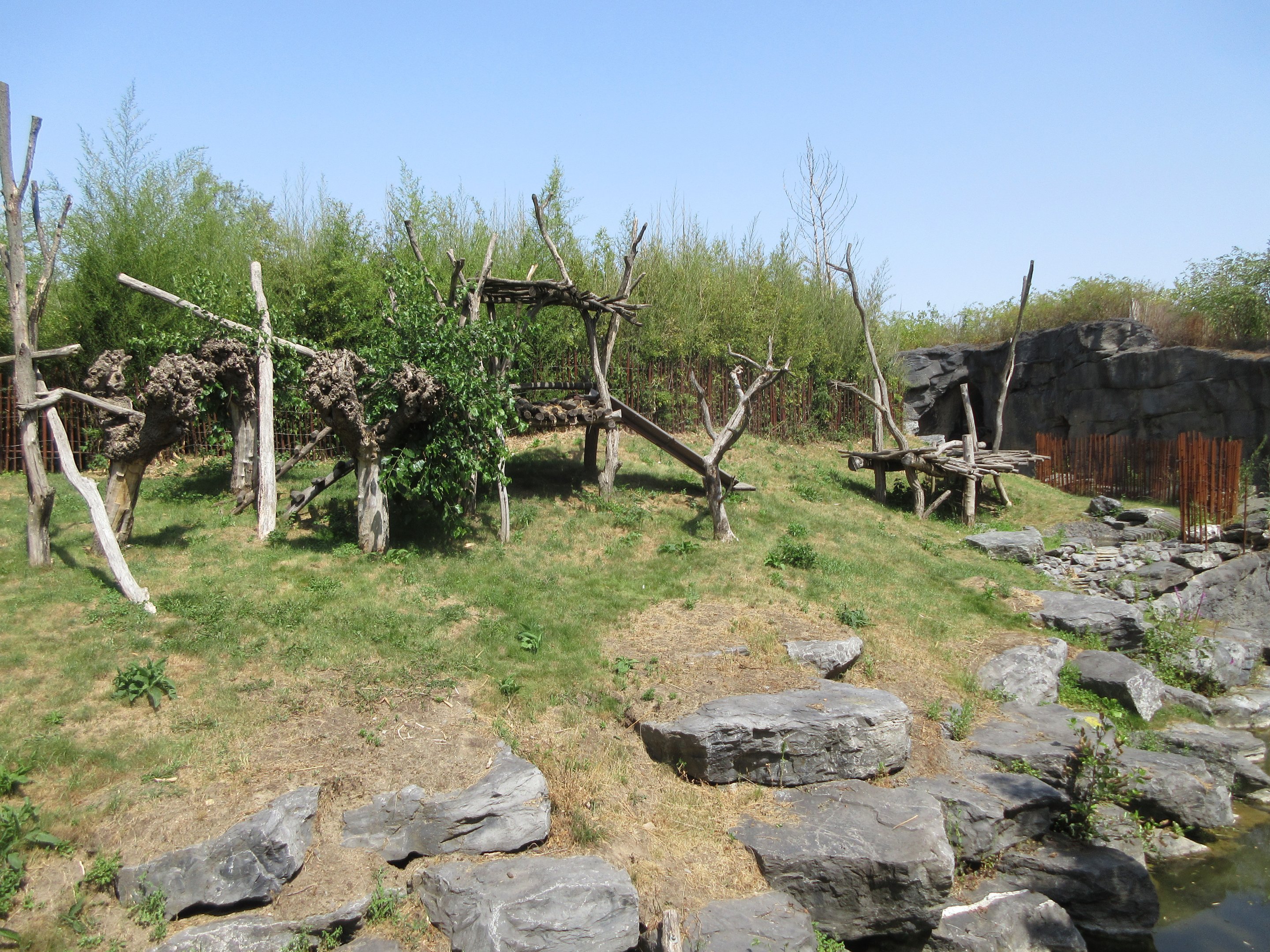 The Middle Kingdom - Giant Panda Exhibit