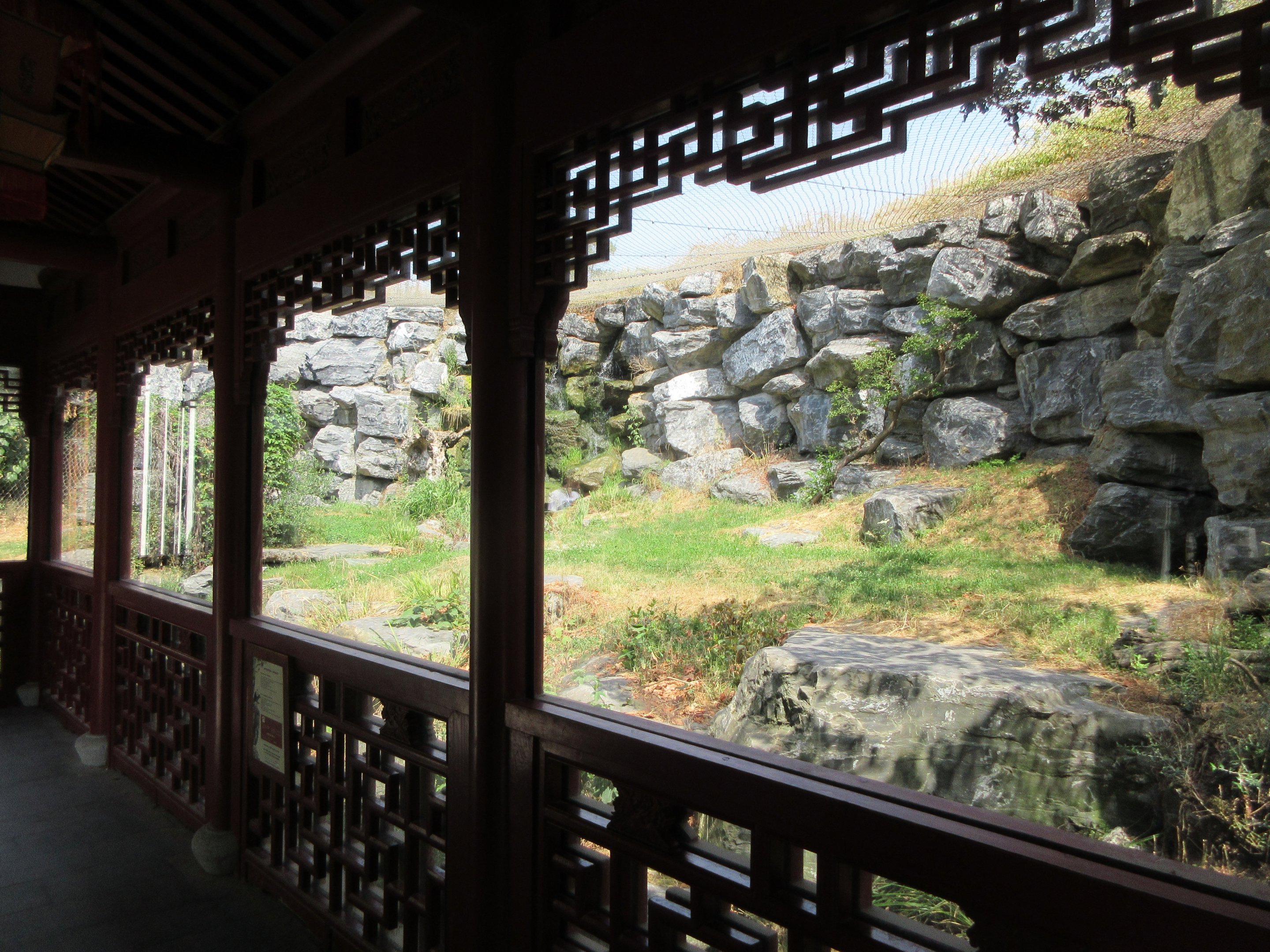 The Middle Kingdom - Snow Leopard Exhibit #1