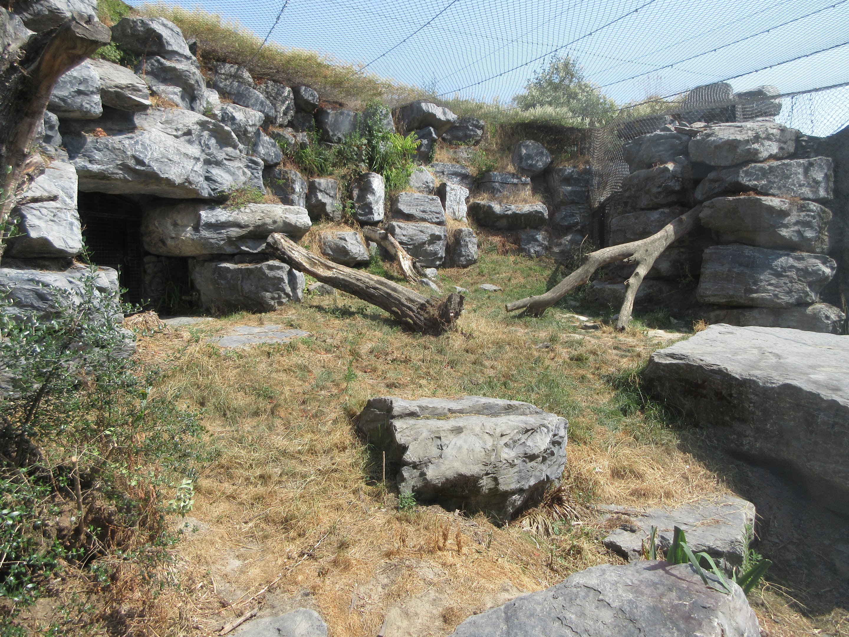 The Middle Kingdom - Snow Leopard Exhibit #2
