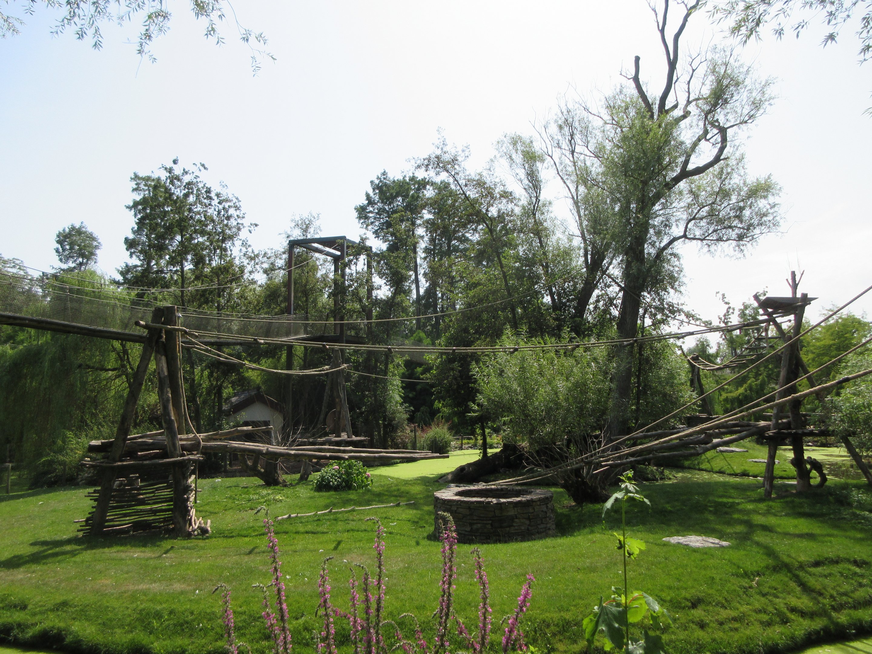 The Middle Kingdom - Southern Yellow-cheeked Gibbon Exhibit
