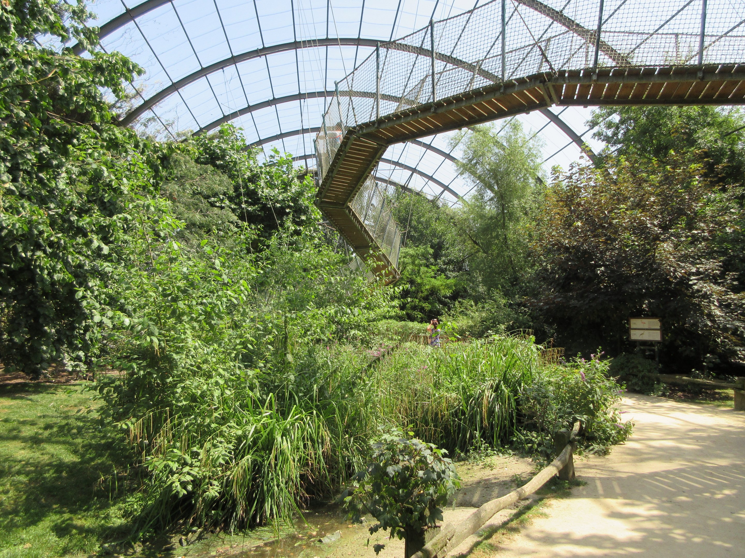 The Middle Kingdom - Walk-through Aviary