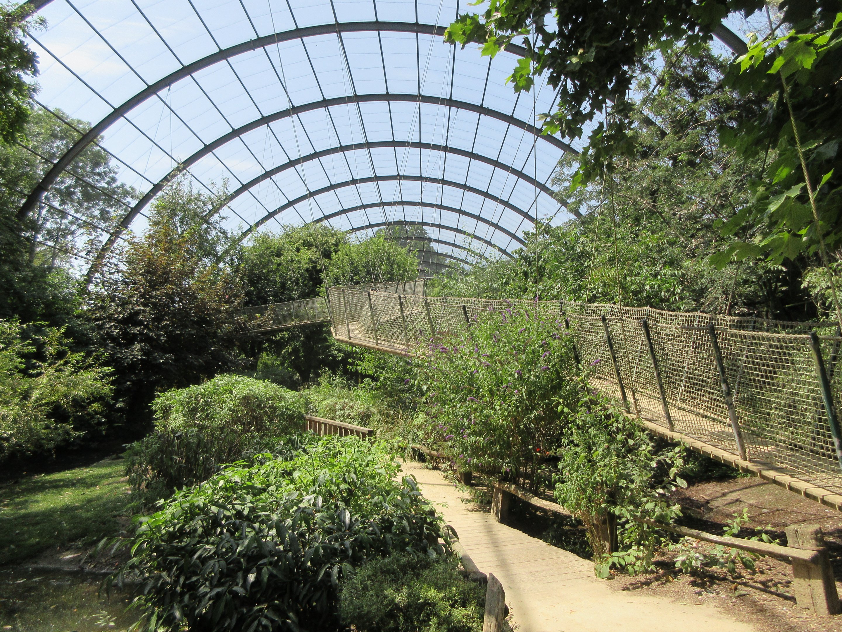 The Middle Kingdom - Walk-through Aviary