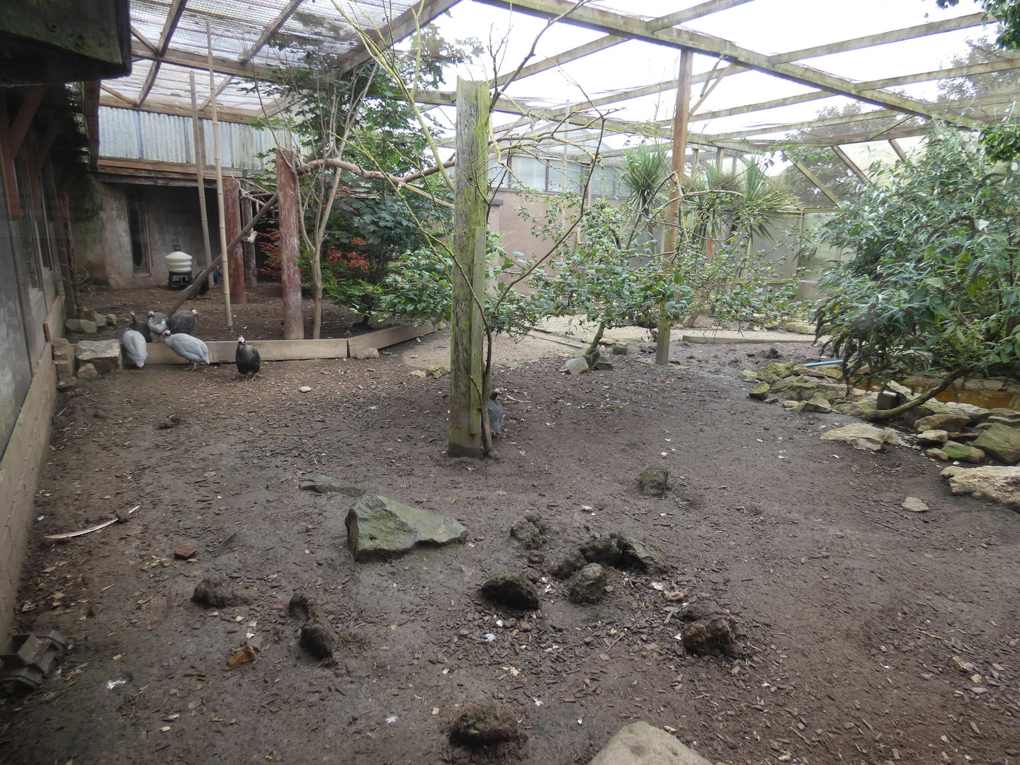 The Misses Hollands aviary