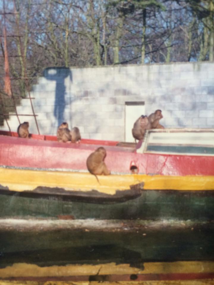 The Monkey boat