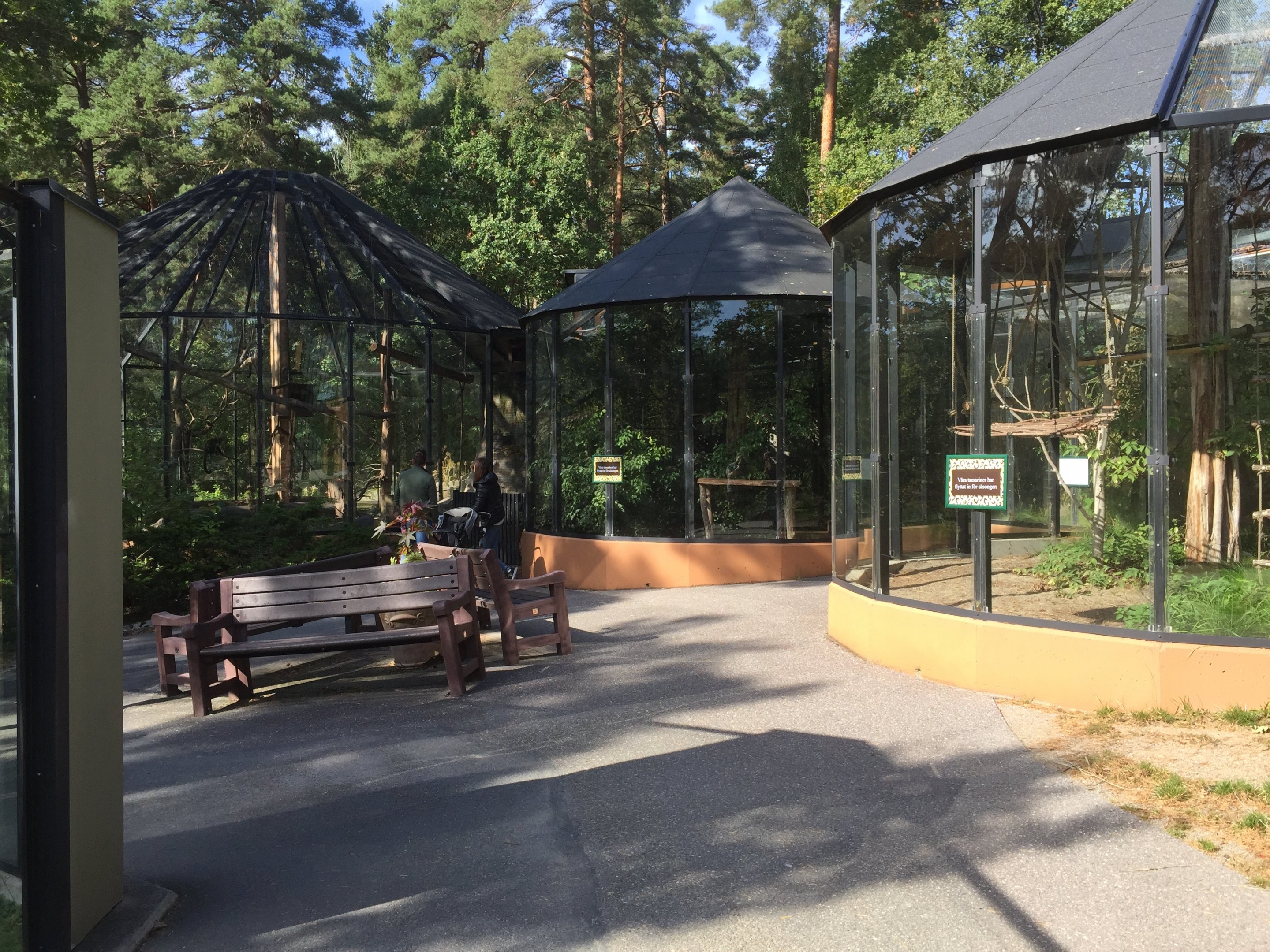 "The Monkey House" outdoors.