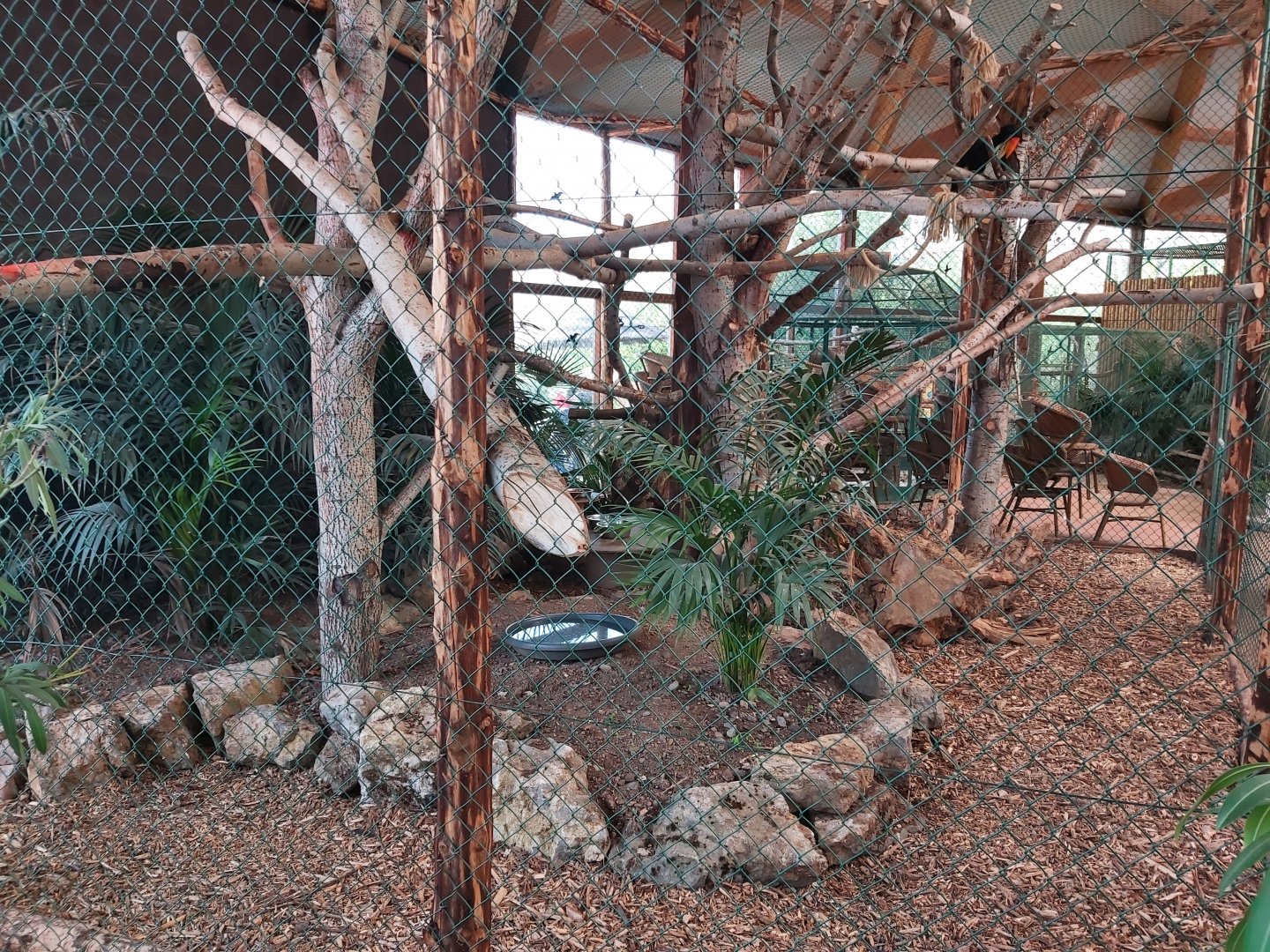 The most beautiful hornbill enclosure i've ever seen