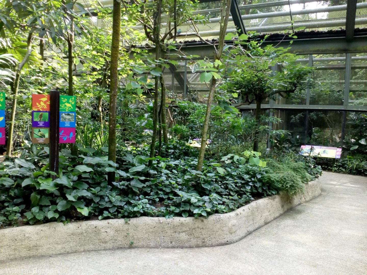 The Most Walsrodian Exhibit at Jurong: Wings of Asia