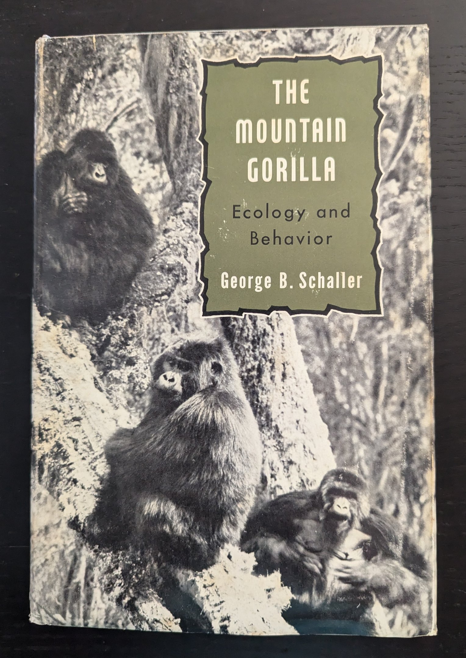 The Mountain Gorilla: Ecology and Behavior