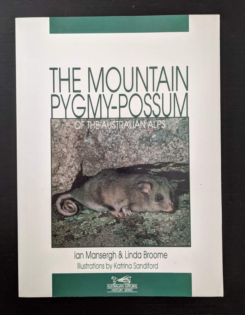 The Mountain Pygmy-Possum of the Australian Alps