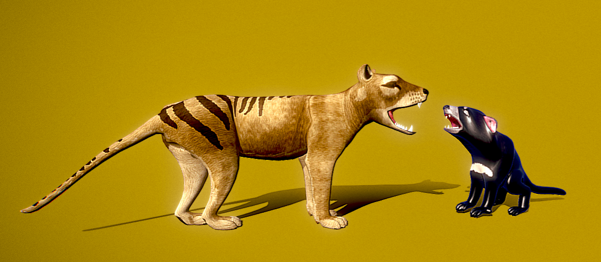 “The Mouths of Tasmania” - 2024