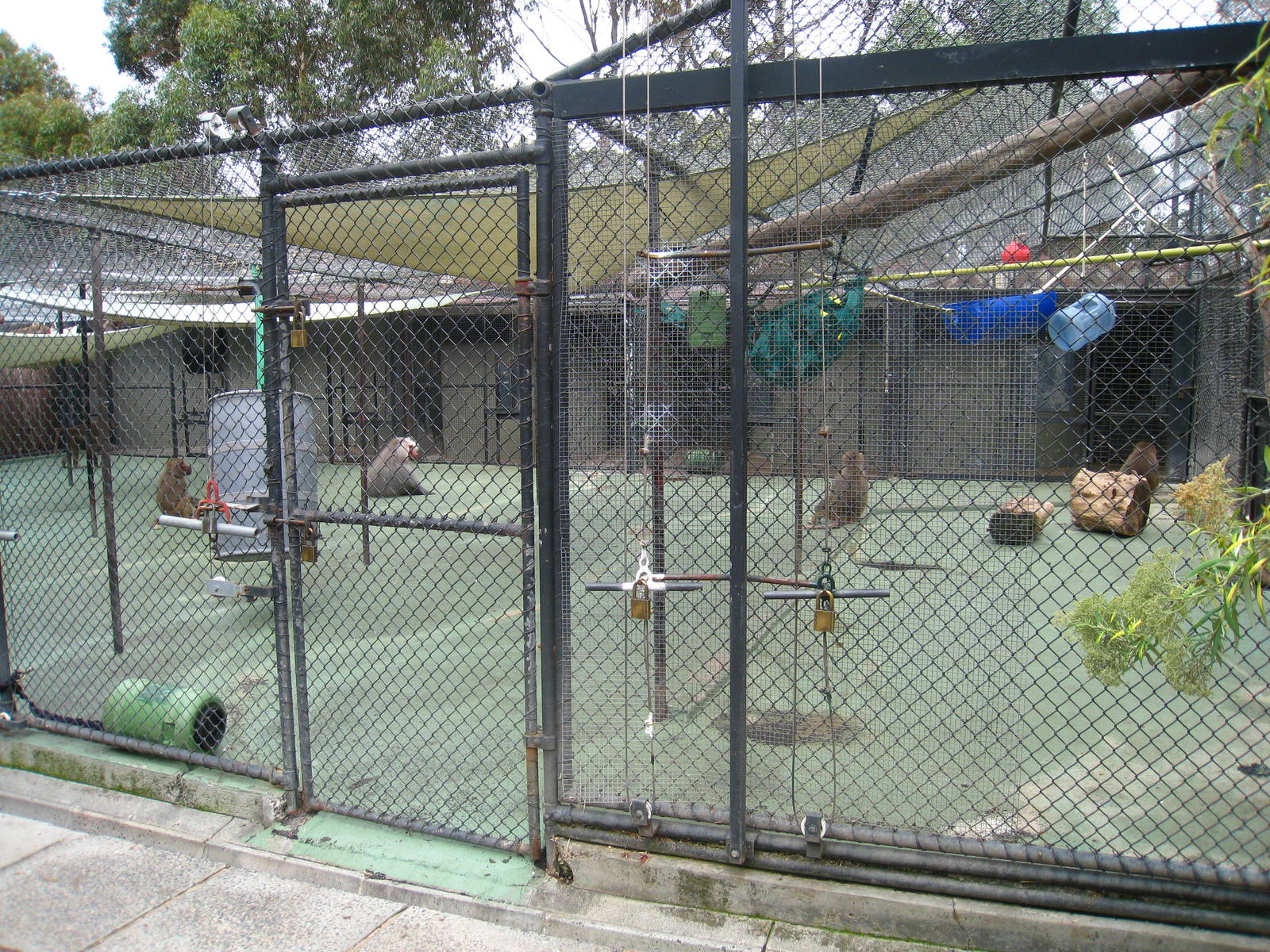 The much loved Baboon cages