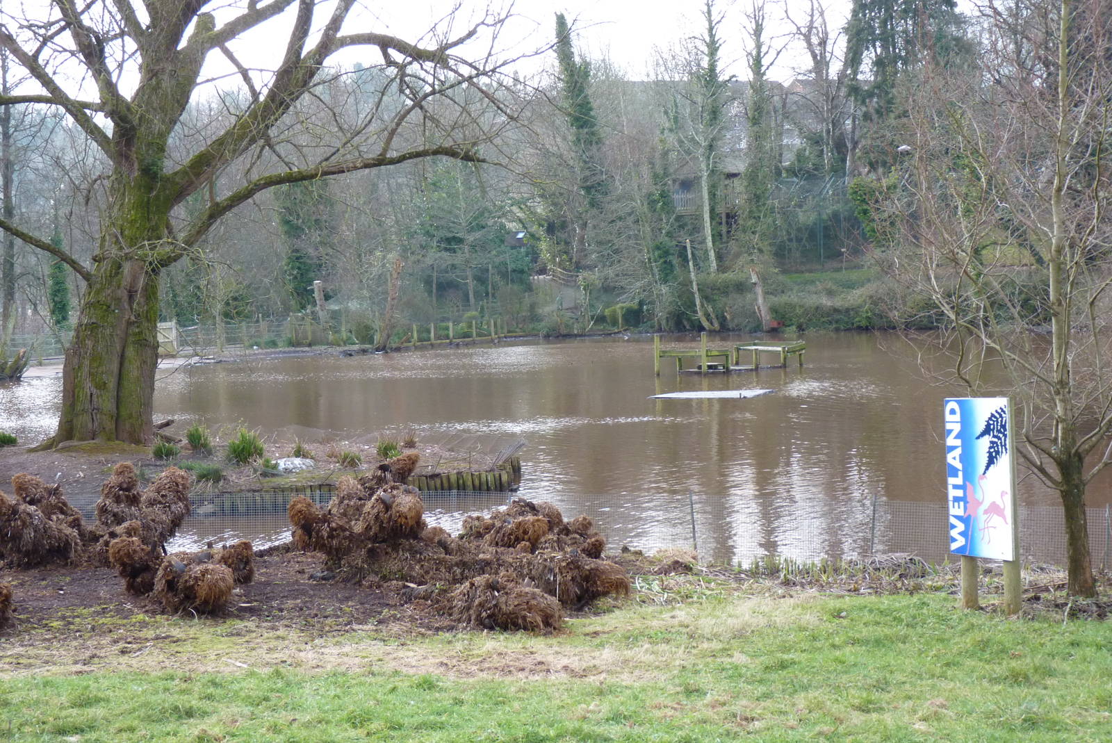 The Mystery of the Lake, February 2015 #1