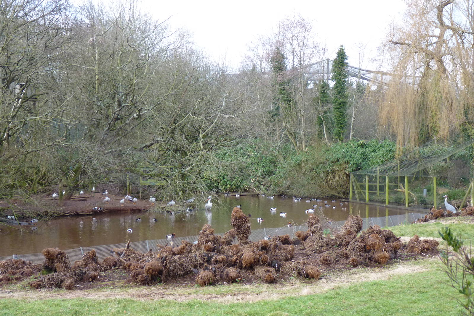 The Mystery of the Lake, February 2015 #2