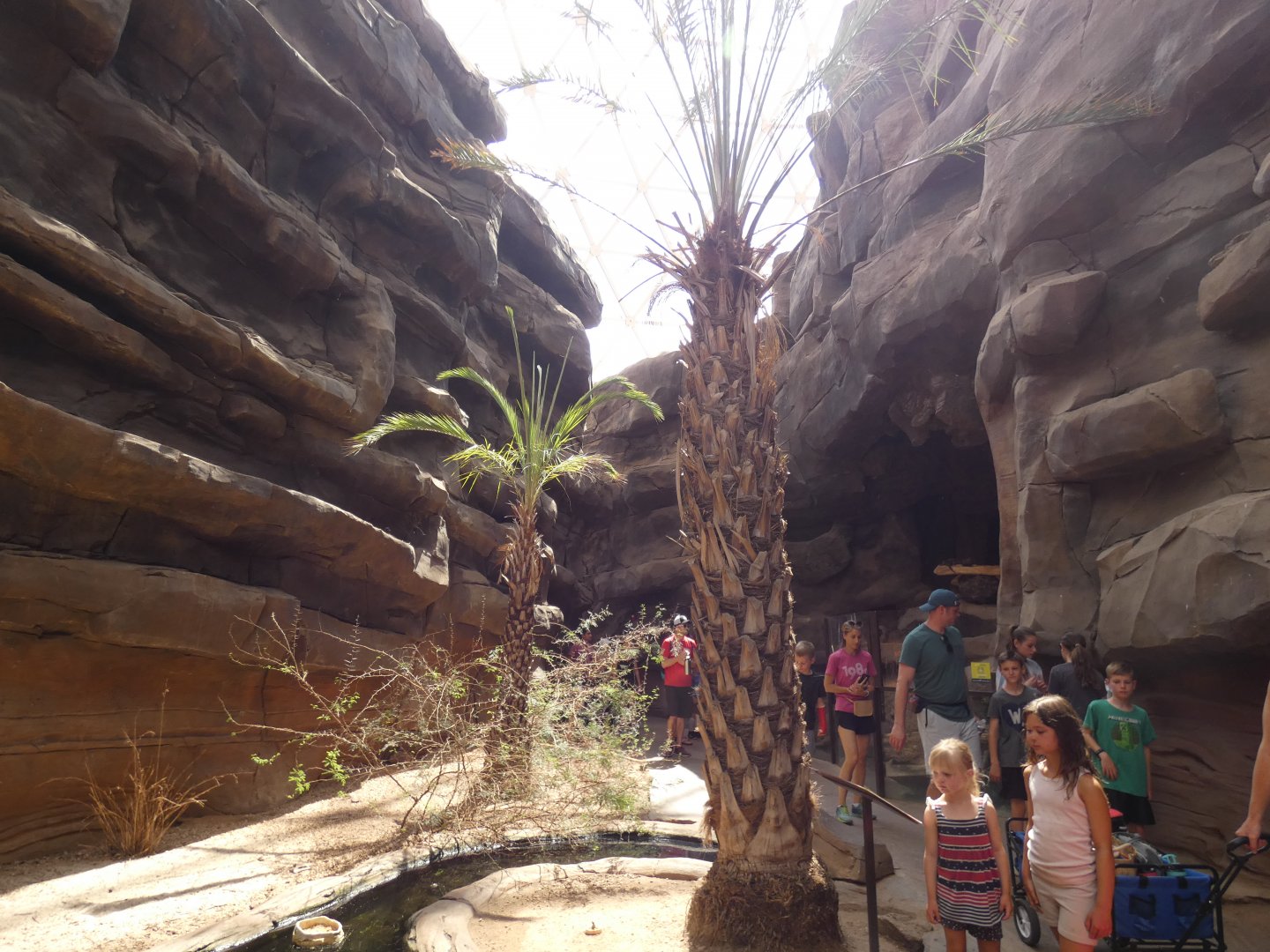 The Namib Desert, Desert Dome - Jun. 2021