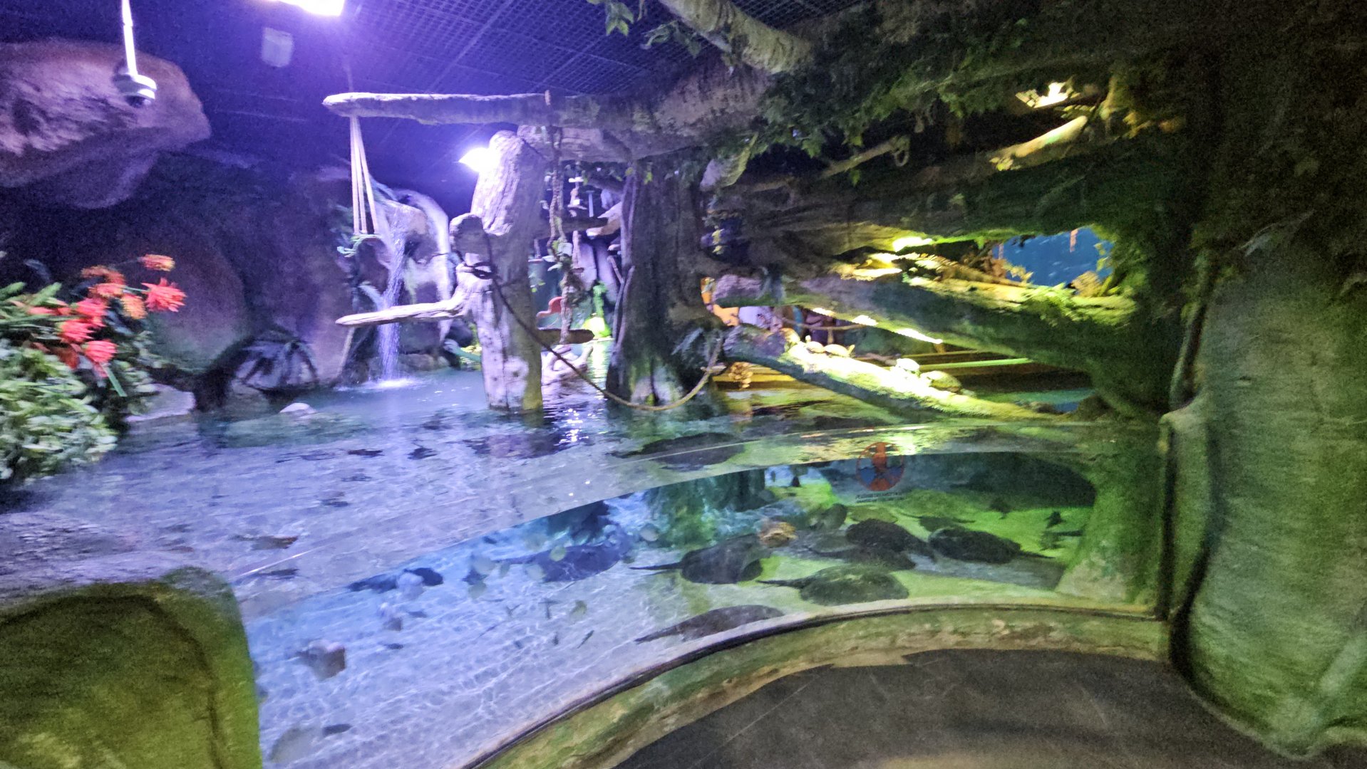 The National Aquarium Abu Dhabi