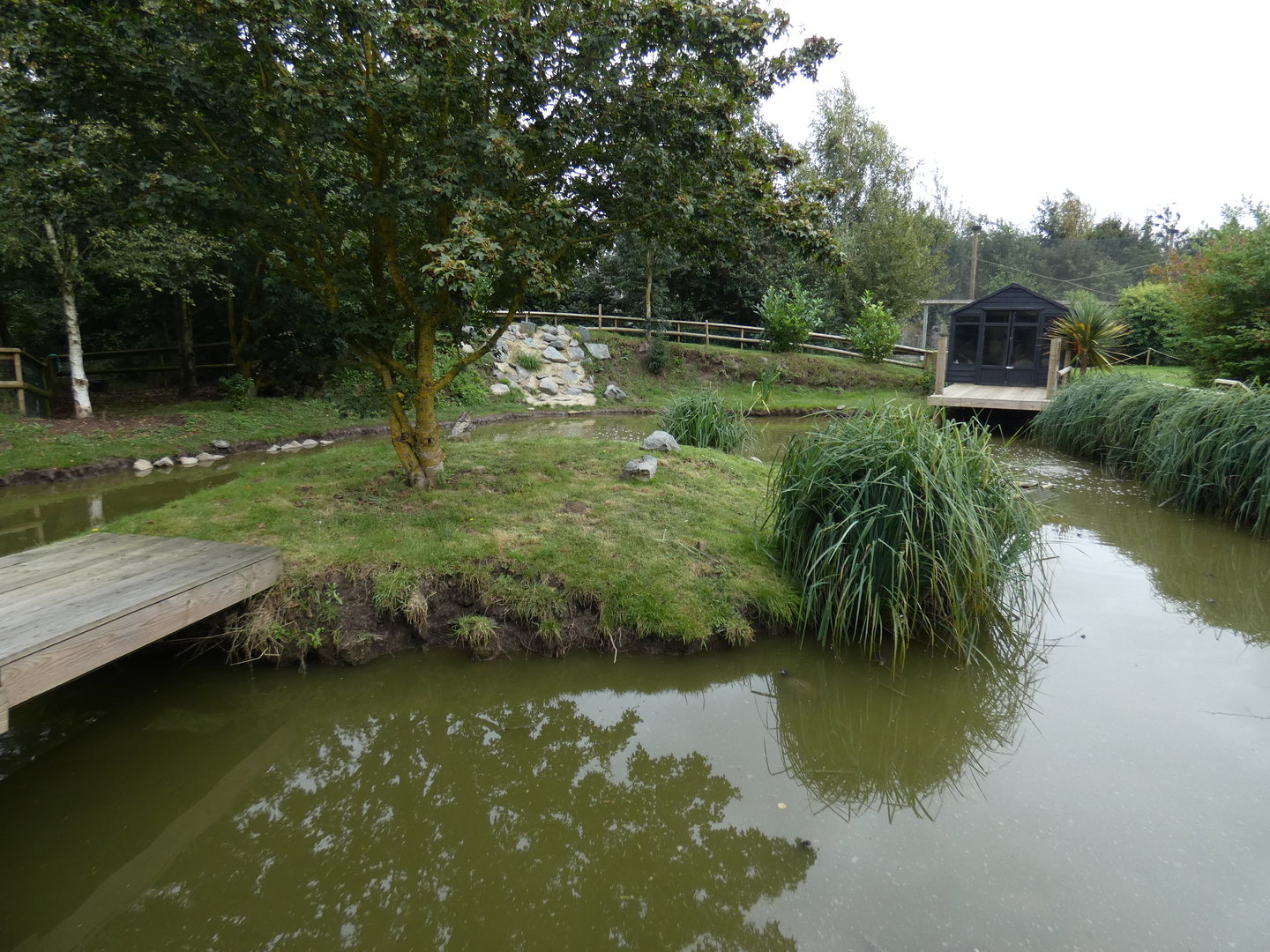 The National Turtle Sanctuary