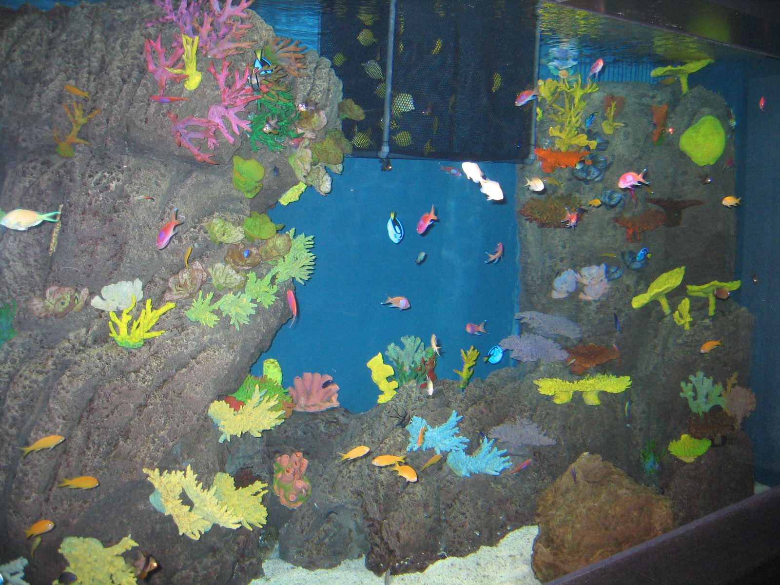 The Nemo section - Apr 2006