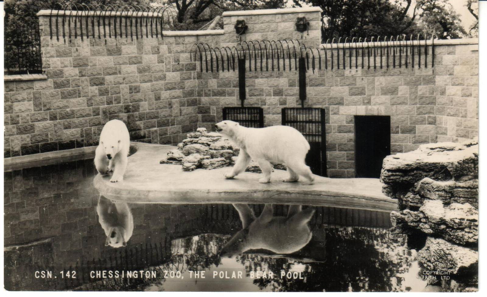 The Ness prior to the building of Shaldon Zoo