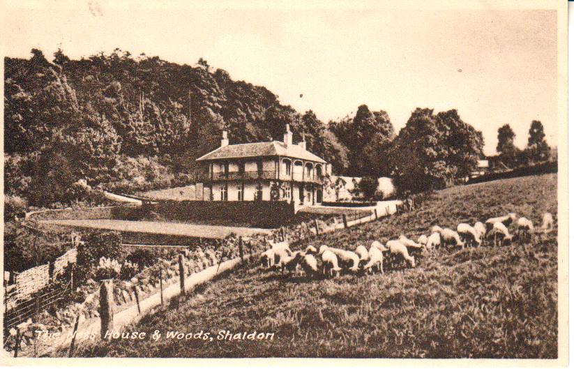 The Ness prior to the building of Shaldon Zoo
