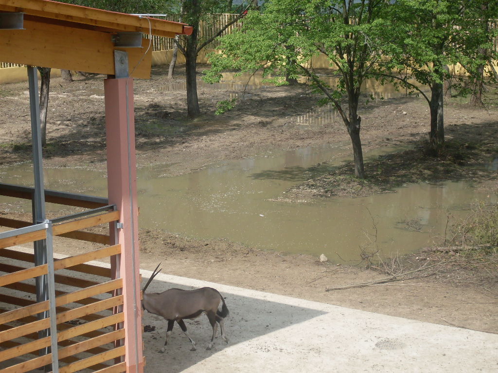 The new Africa mixed exhibit