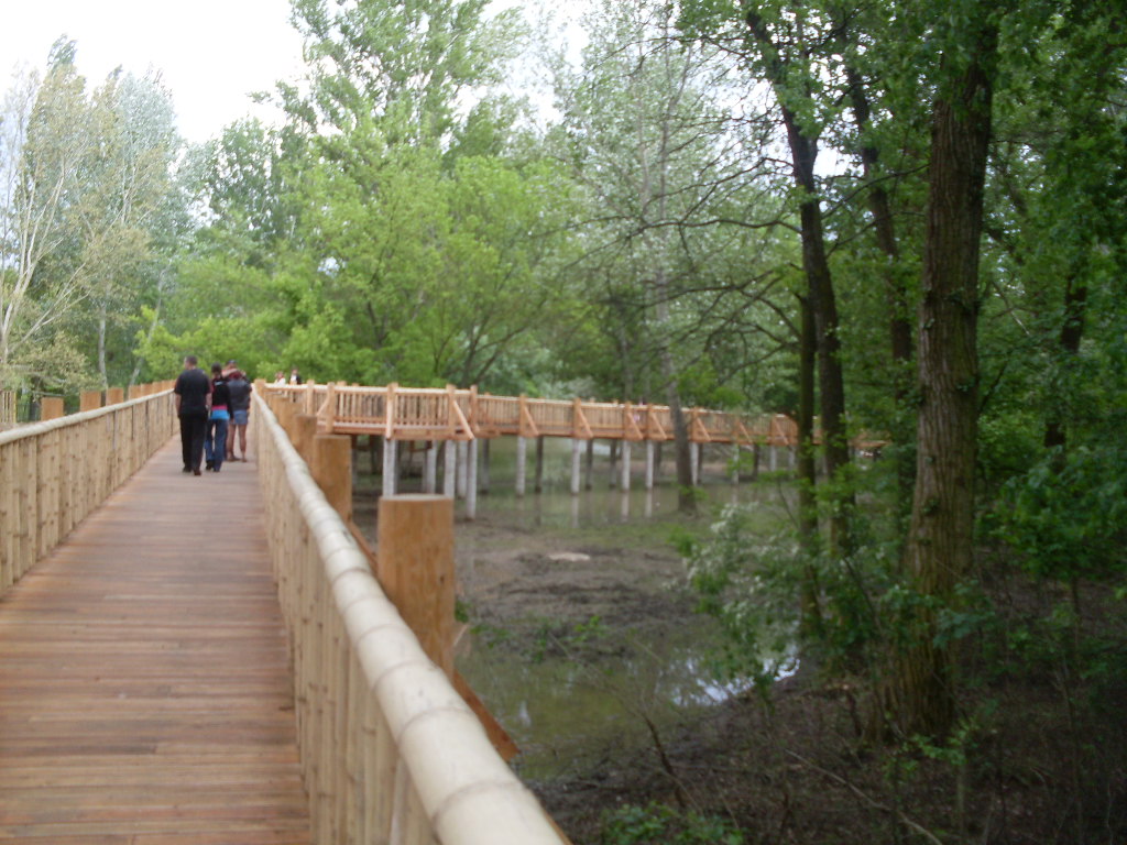 The new Africa mixed exhibit