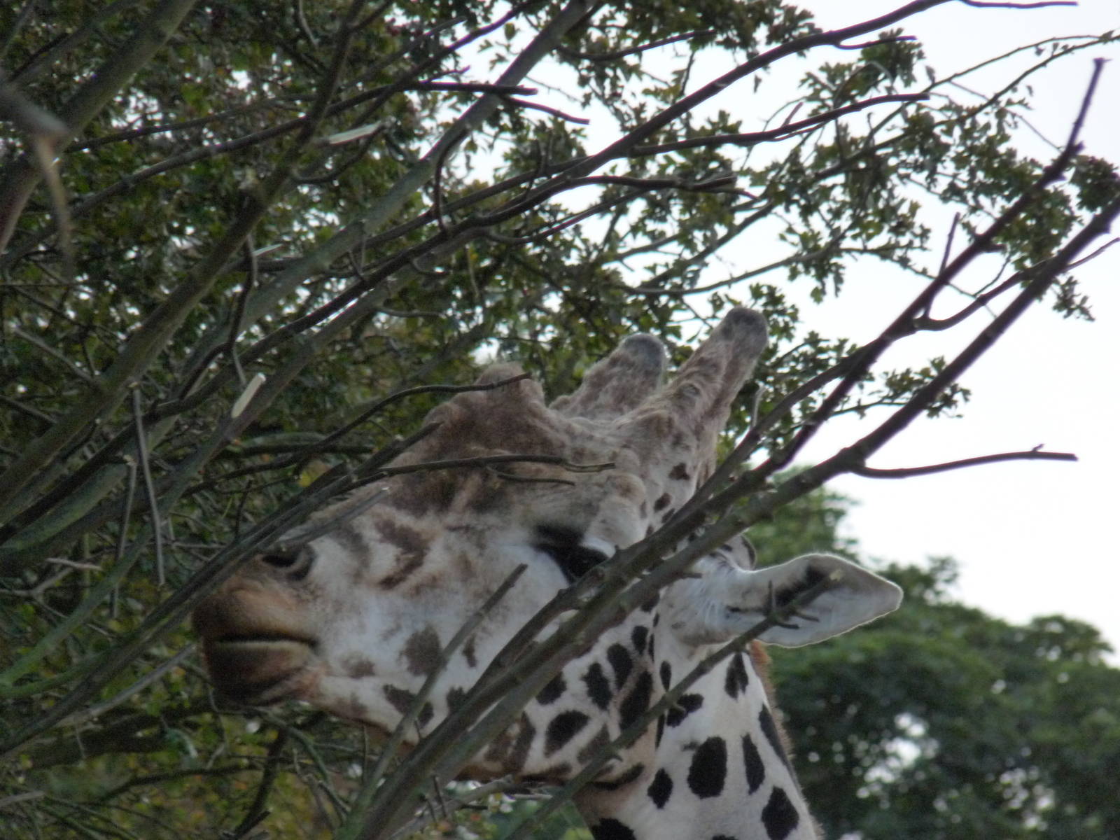 The new arrivals 3/10/12