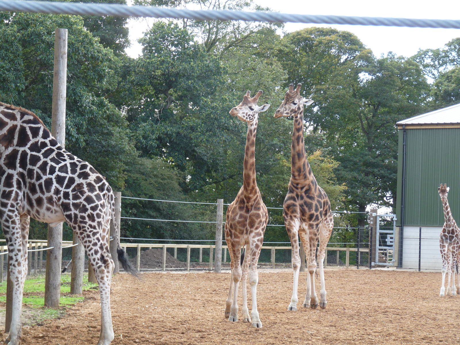 The new arrivals 3/10/12