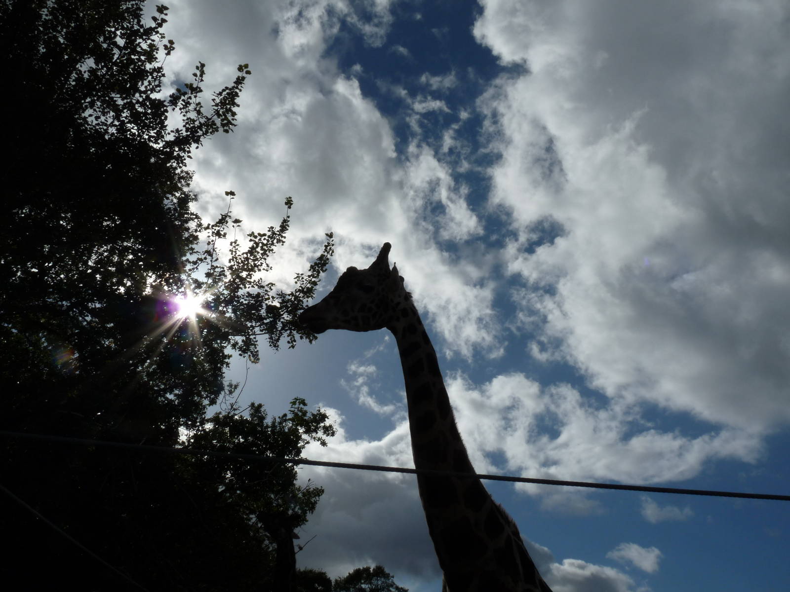 The new arrivals 3/10/12