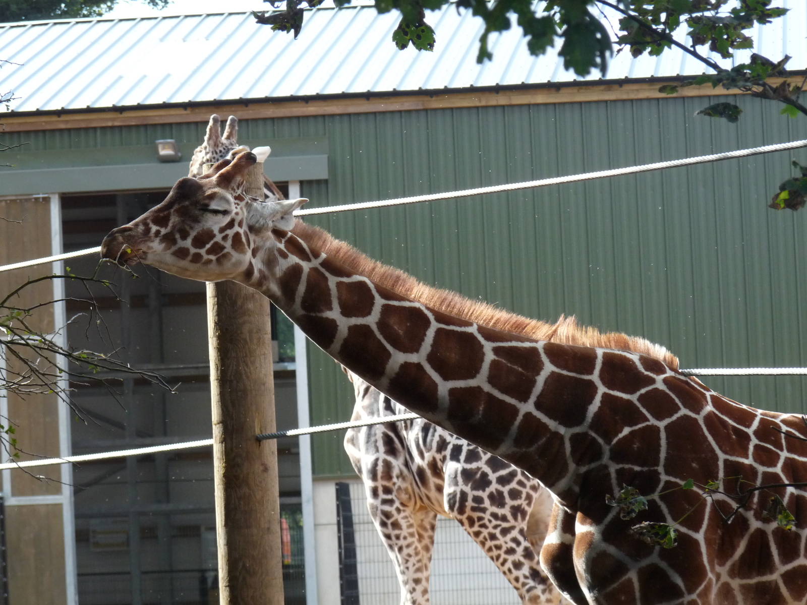 The new arrivals 3/10/12