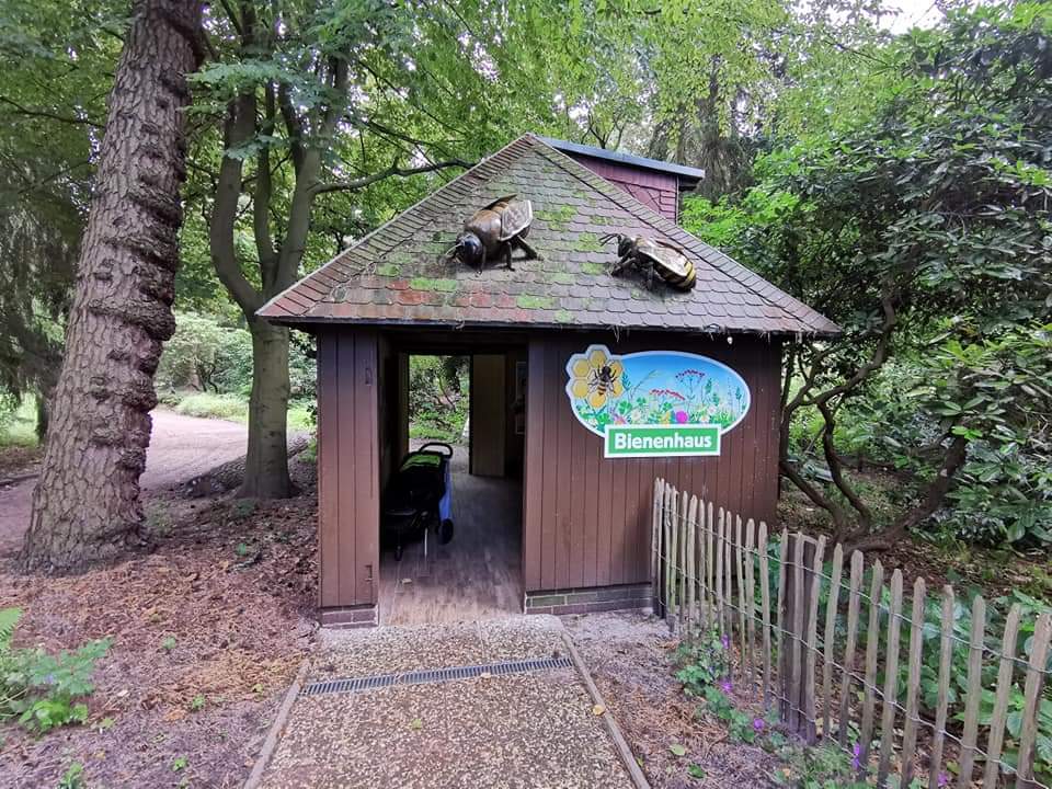 The new Bienenhause - Beehouse