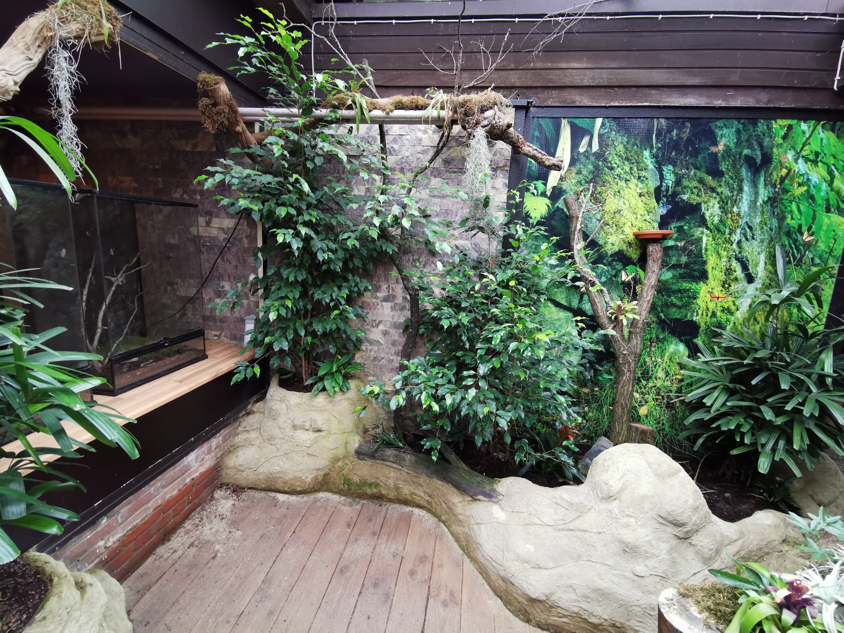 The new "butterfly corner" in Pukara