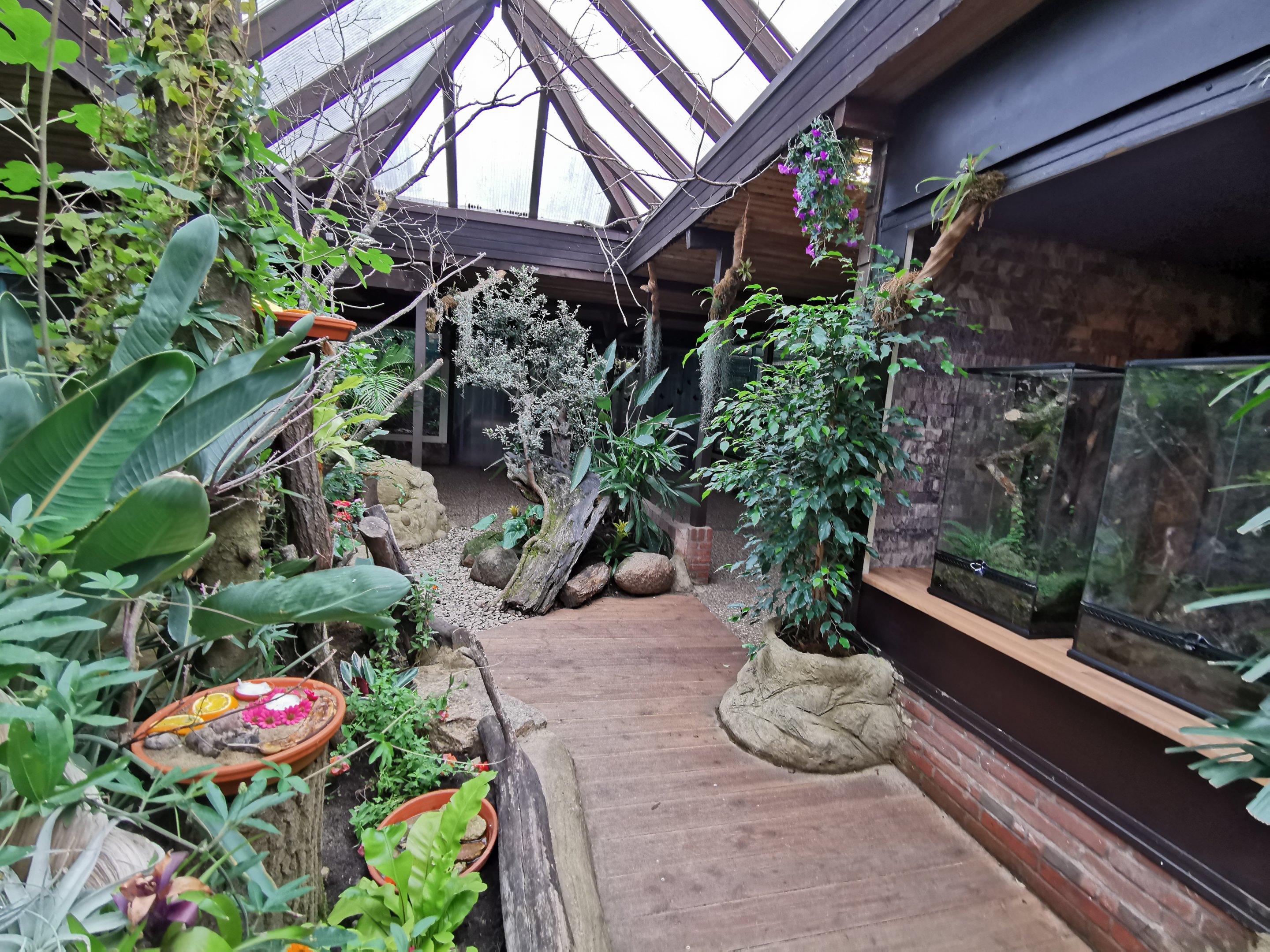 The new "butterfly corner" in Pukara