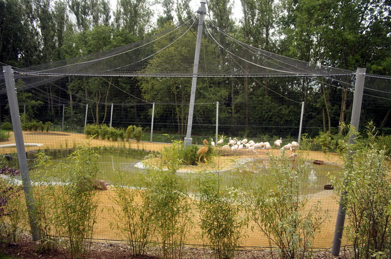 The new flamingo encolusre