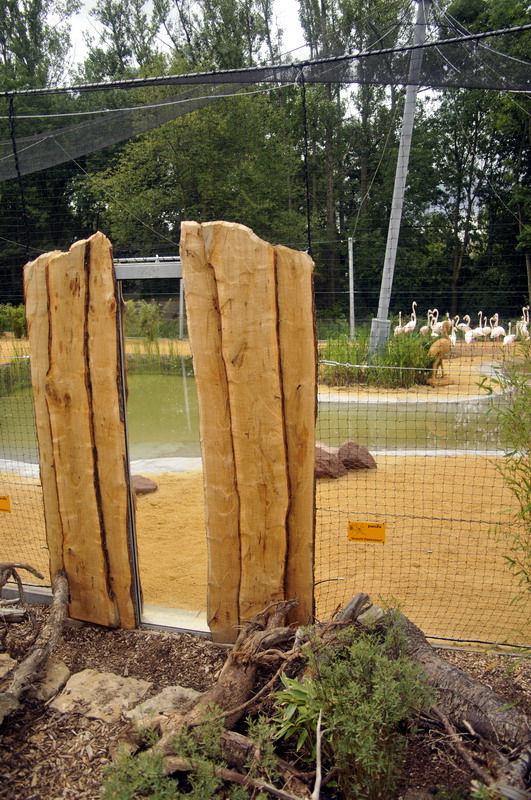 The new flamingo encolusre