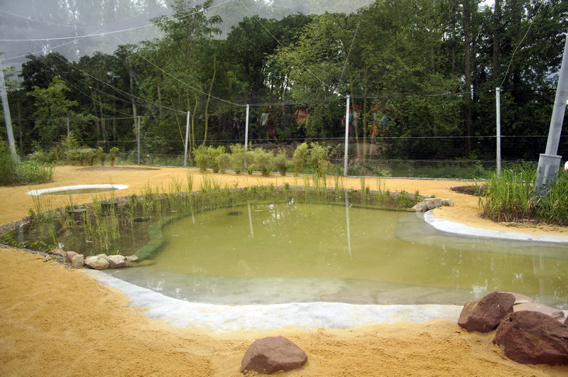 The new flamingo encolusre