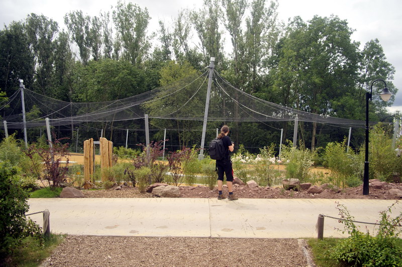 The new flamingo encolusre