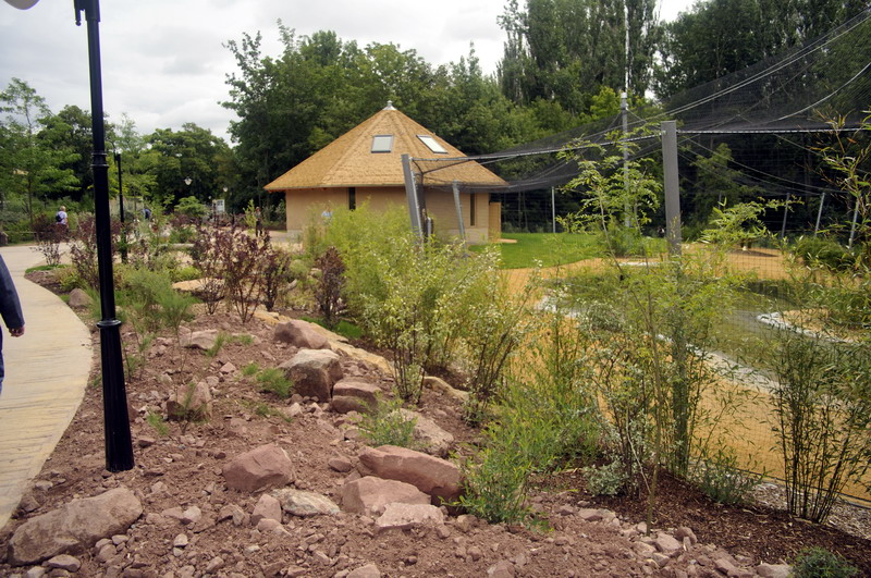 The new flamingo encolusre