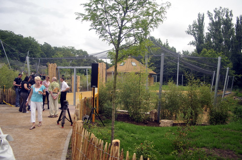 The new flamingo encolusre