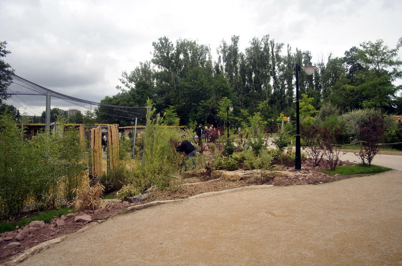 The new flamingo encolusre