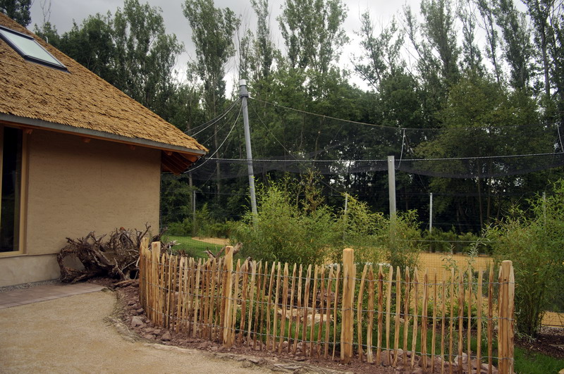 The new flamingo encolusre