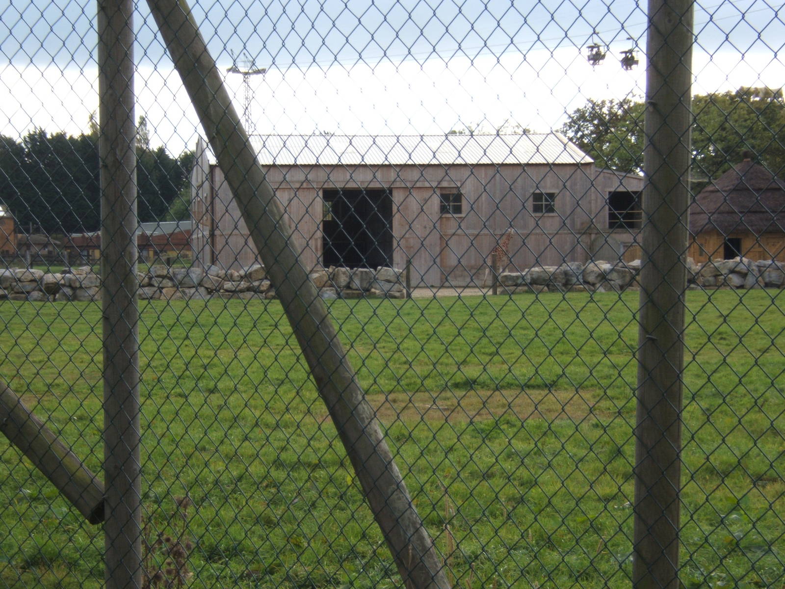 The new Giraffe House