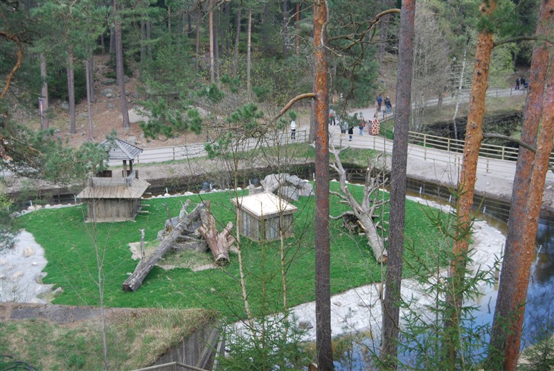 The new gorilla exbith